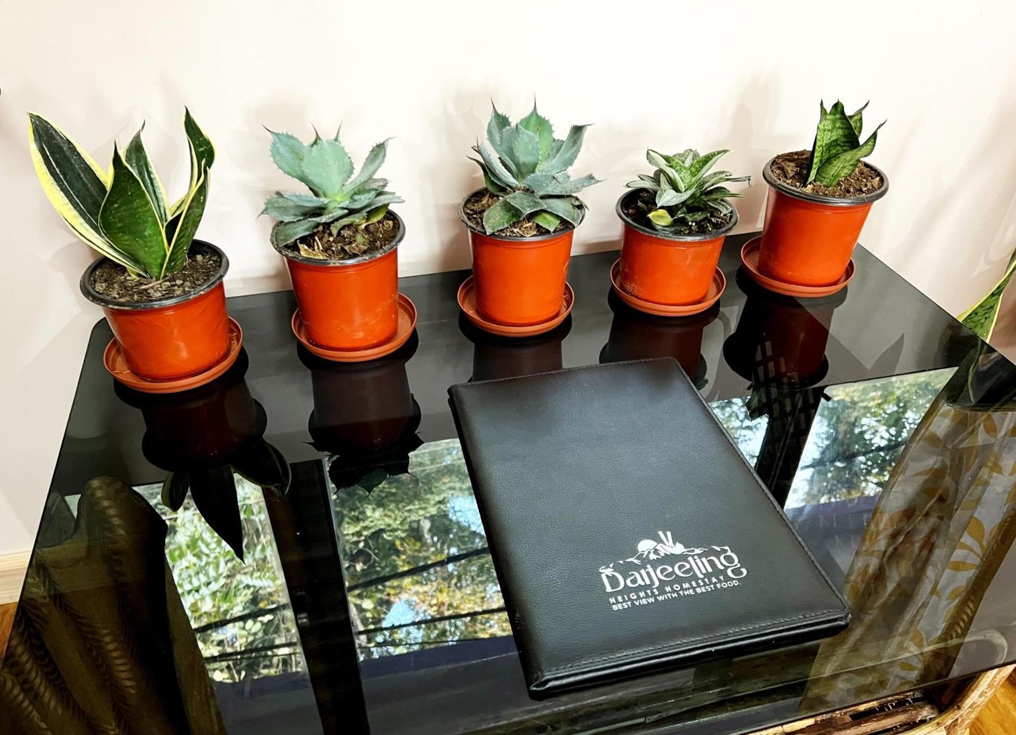 Darjeeling Heights - A Boutique Mountain View Homestay Номер фото